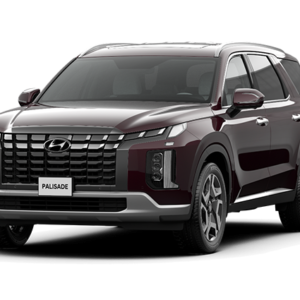 Palisade Exclusive 6 chỗ